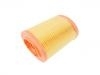 Air Filter:55183562